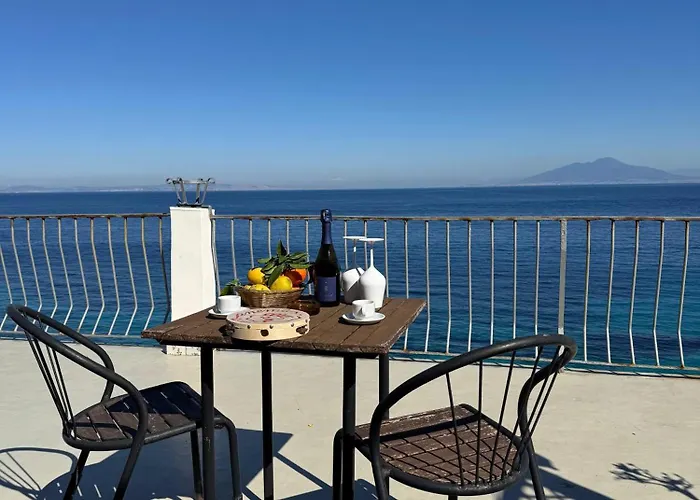 丽城特莱瑞酒店 酒店