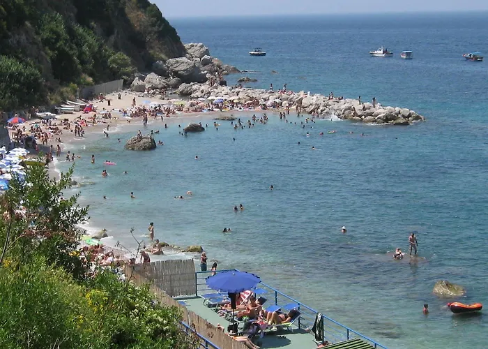 丽城特莱瑞酒店 酒店