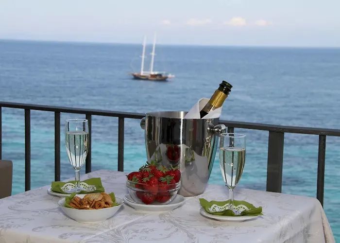 酒店 丽城特莱瑞酒店 3*